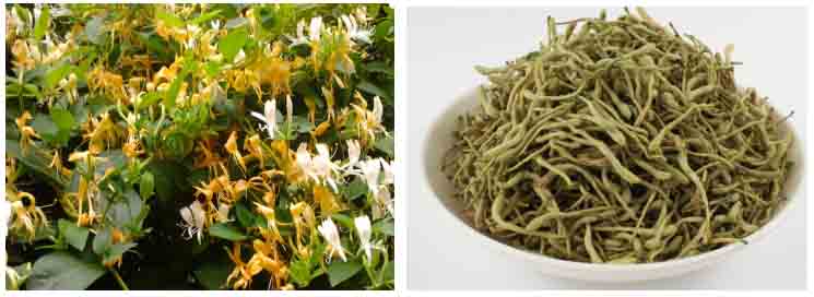 小型金銀花烘干機(jī)價(jià)格 小型金銀花烘干機(jī)價(jià)格