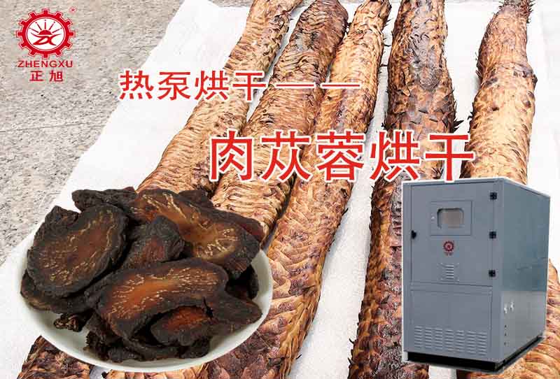 正旭肉蓯蓉?zé)岜煤娓晒に嚕ê娓蓽囟?、時(shí)間）