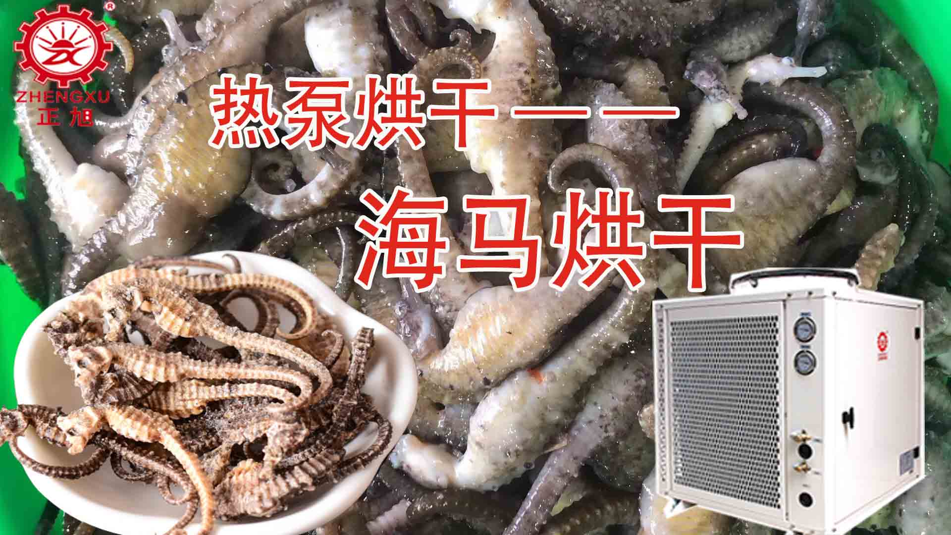 海馬熱泵烘干方法詳解（含研粉、清洗、宰殺、烘干時(shí)間）