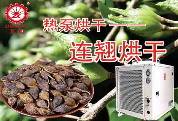 一噸連翹熱泵烘干需要多少錢？「熱泵烘干廠家」為你解答